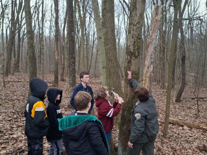 Scouts learning about maple sugaring